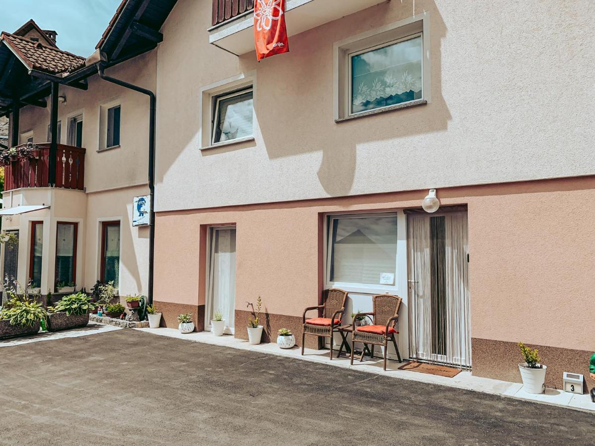 Apartments Ivanovic Idrija Ngoại thất bức ảnh